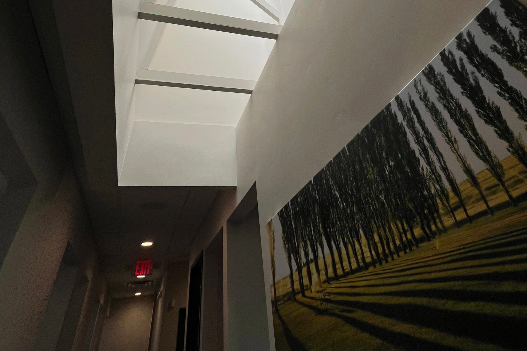 Eagle Dental Care ceiling